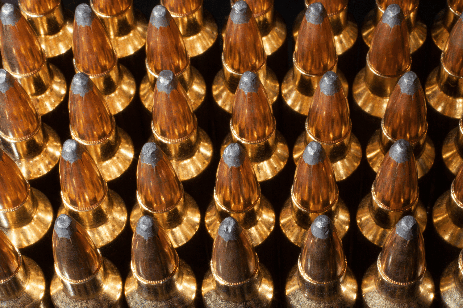 Close-up view of rows of brass-colored bullets arranged neatly side by side, with the tips pointing upward and reflecting light.